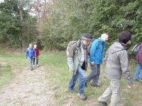 DSC03005_ergebnis.JPG