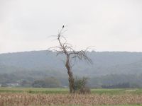 DSC03002_ergebnis.JPG