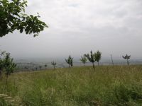 DSC01537.JPG