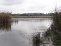 DSC03001_ergebnis.JPG